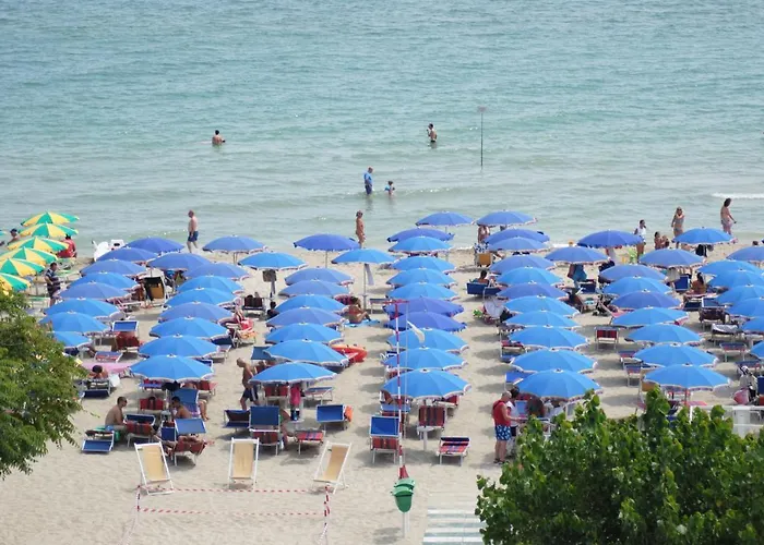 Boston Alba Adriatica